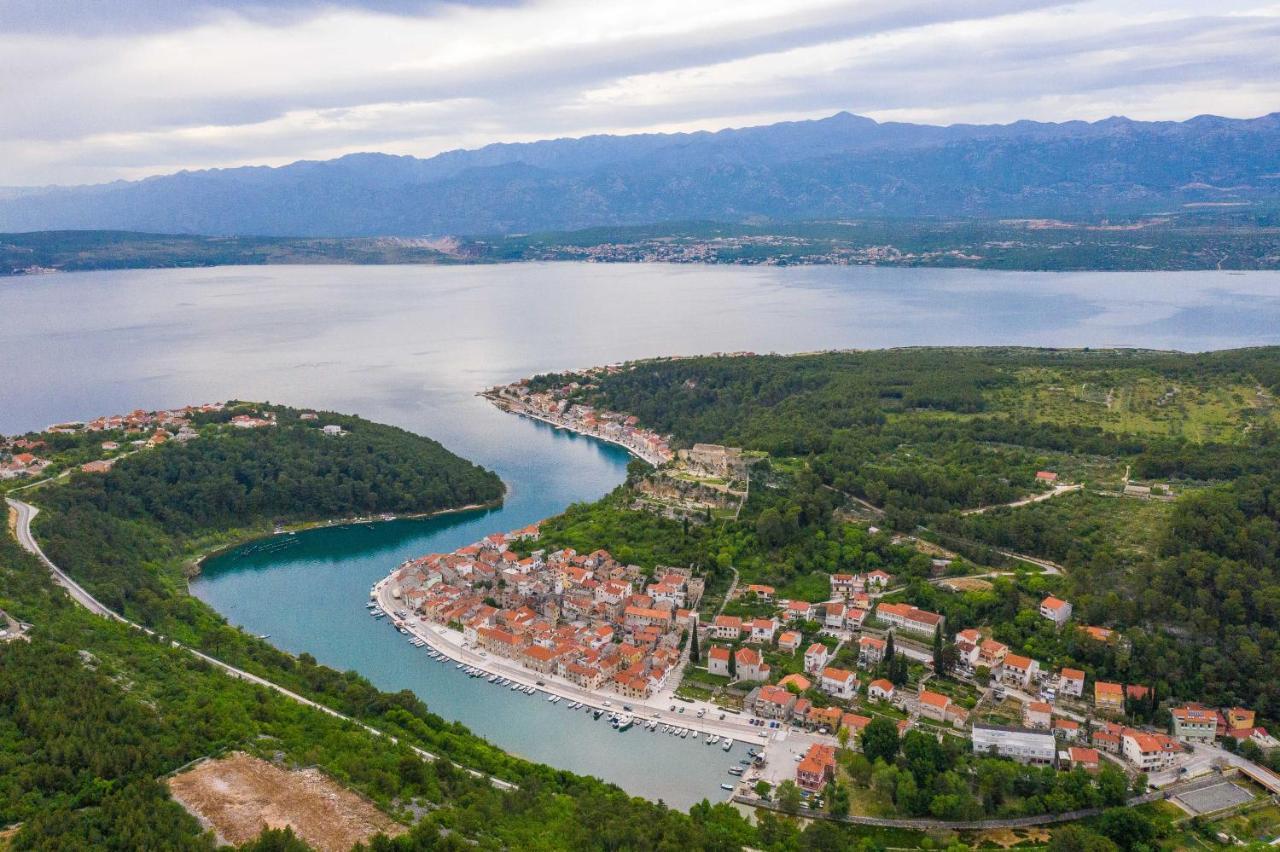 Villa Calendula Novigrad (Dalmatia)